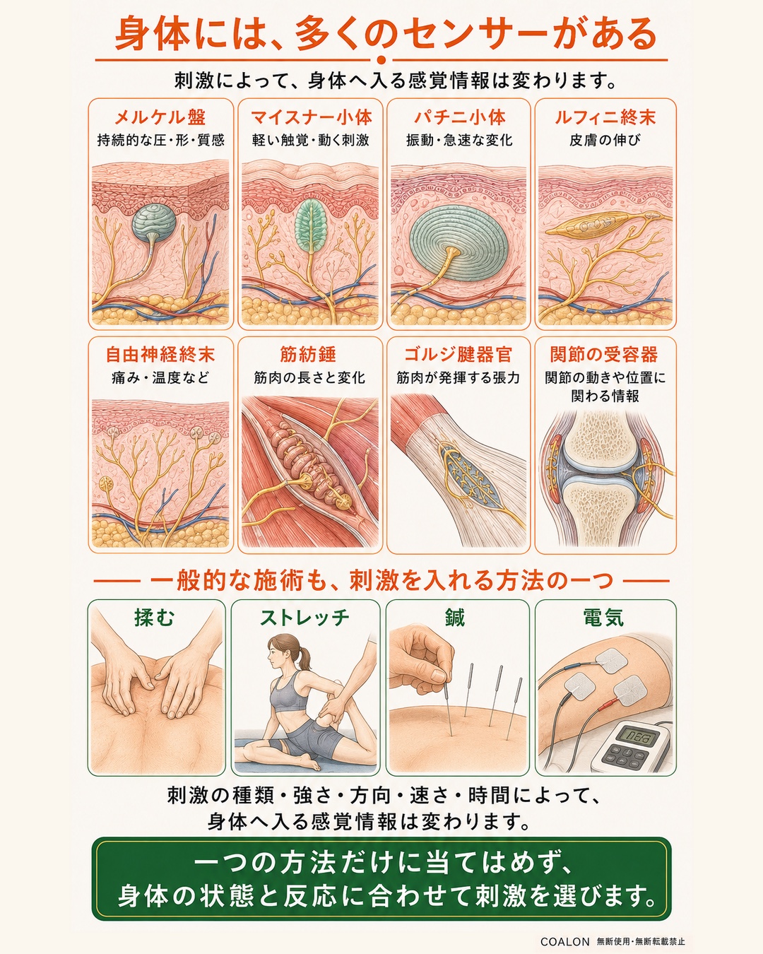 身体には多くのセンサーがあるを漫画風の図解で説明